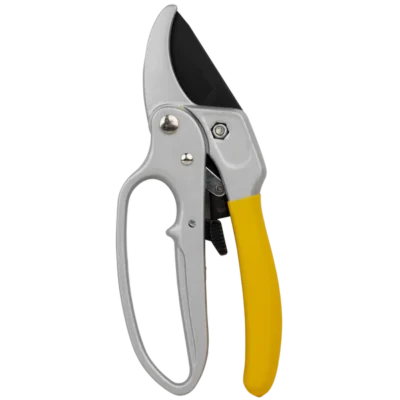 Ratcheting Pruner